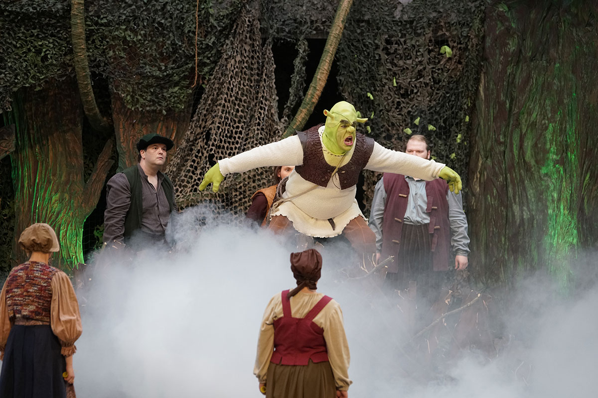 Shrek 2017 – Bild 2