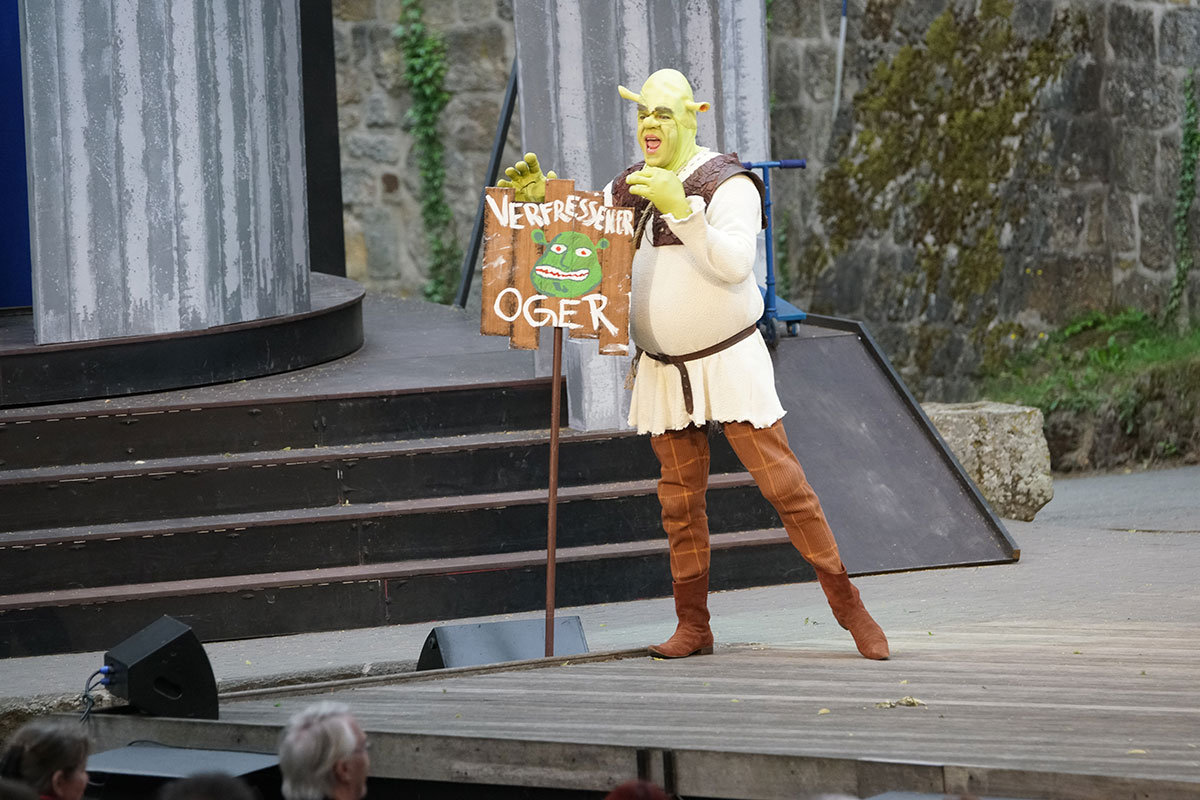 Shrek 2017 – Bild 3