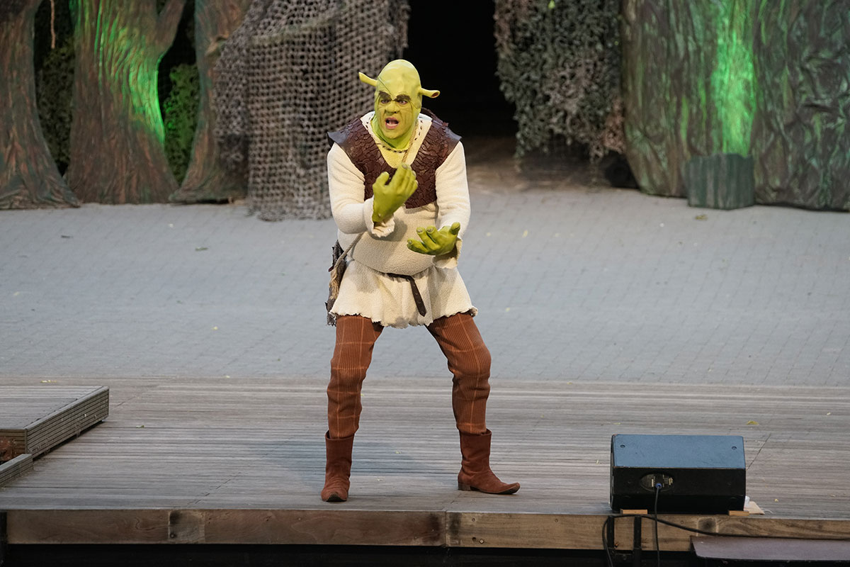 Shrek 2017 – Bild 5