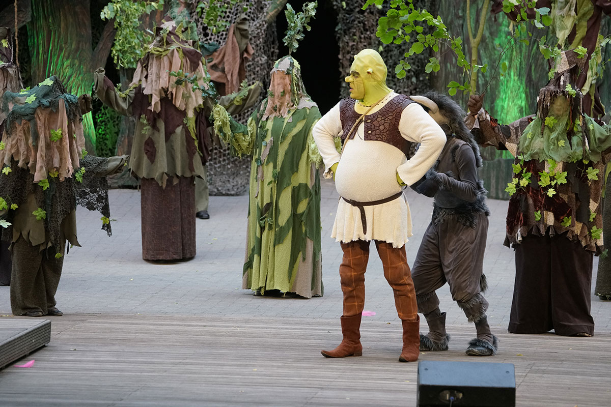 Shrek 2017 – Bild 11