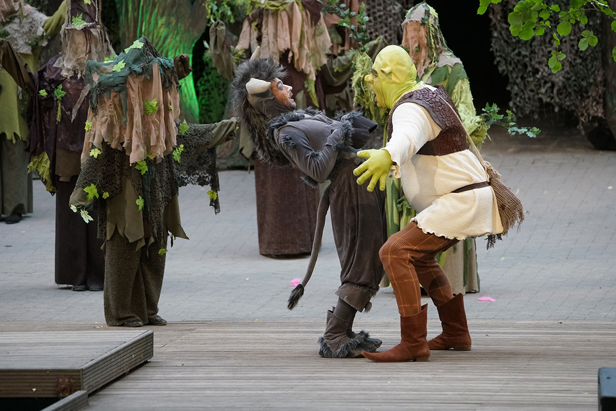 Shrek 2017 – Bild 12
