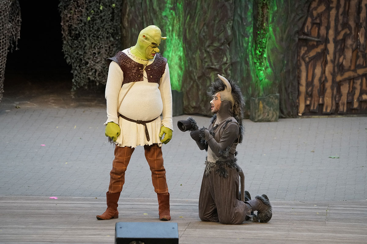 Shrek 2017 – Bild 13