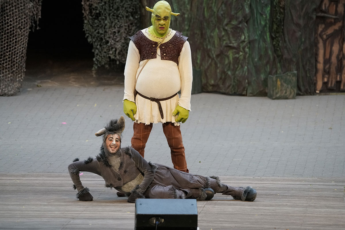 Shrek 2017 – Bild 15