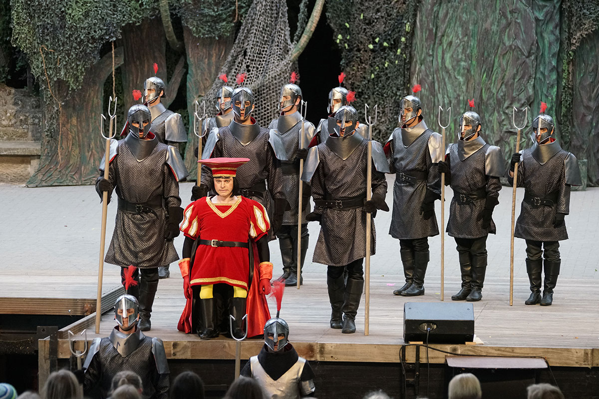 Shrek 2017 – Bild 17