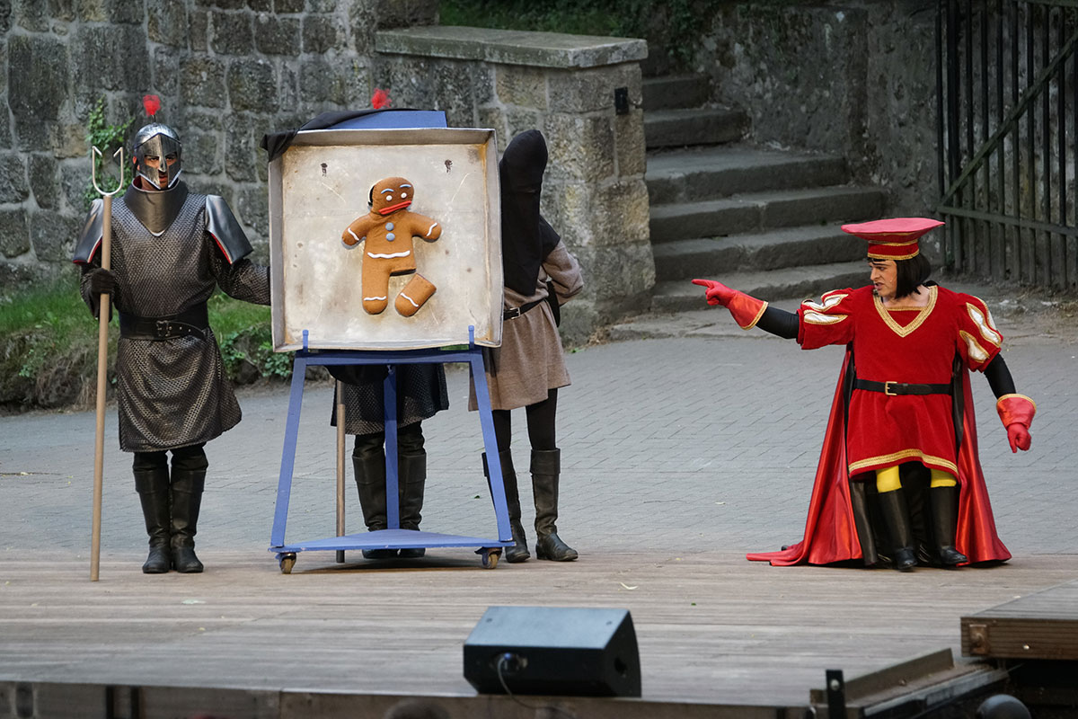 Shrek 2017 – Bild 18