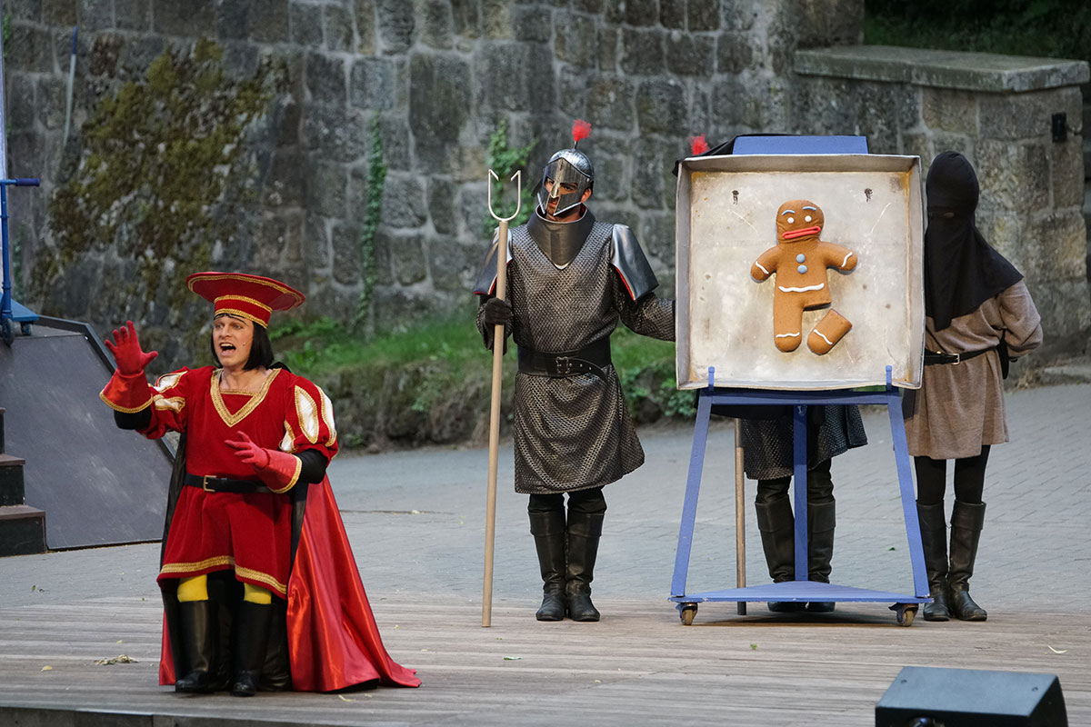 Shrek 2017 – Bild 19