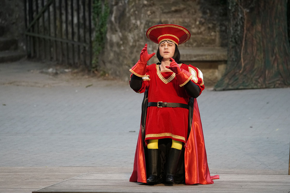 Shrek 2017 – Bild 20