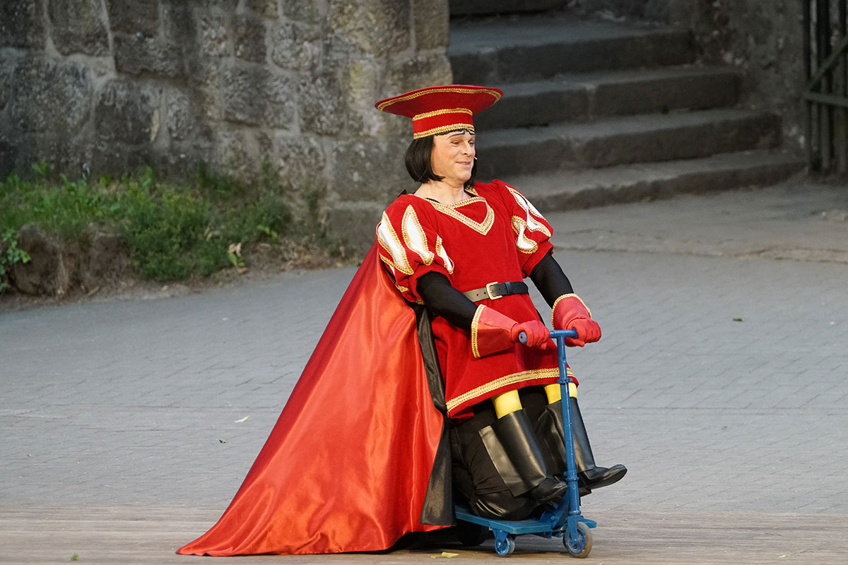 Shrek 2017 – Bild 24