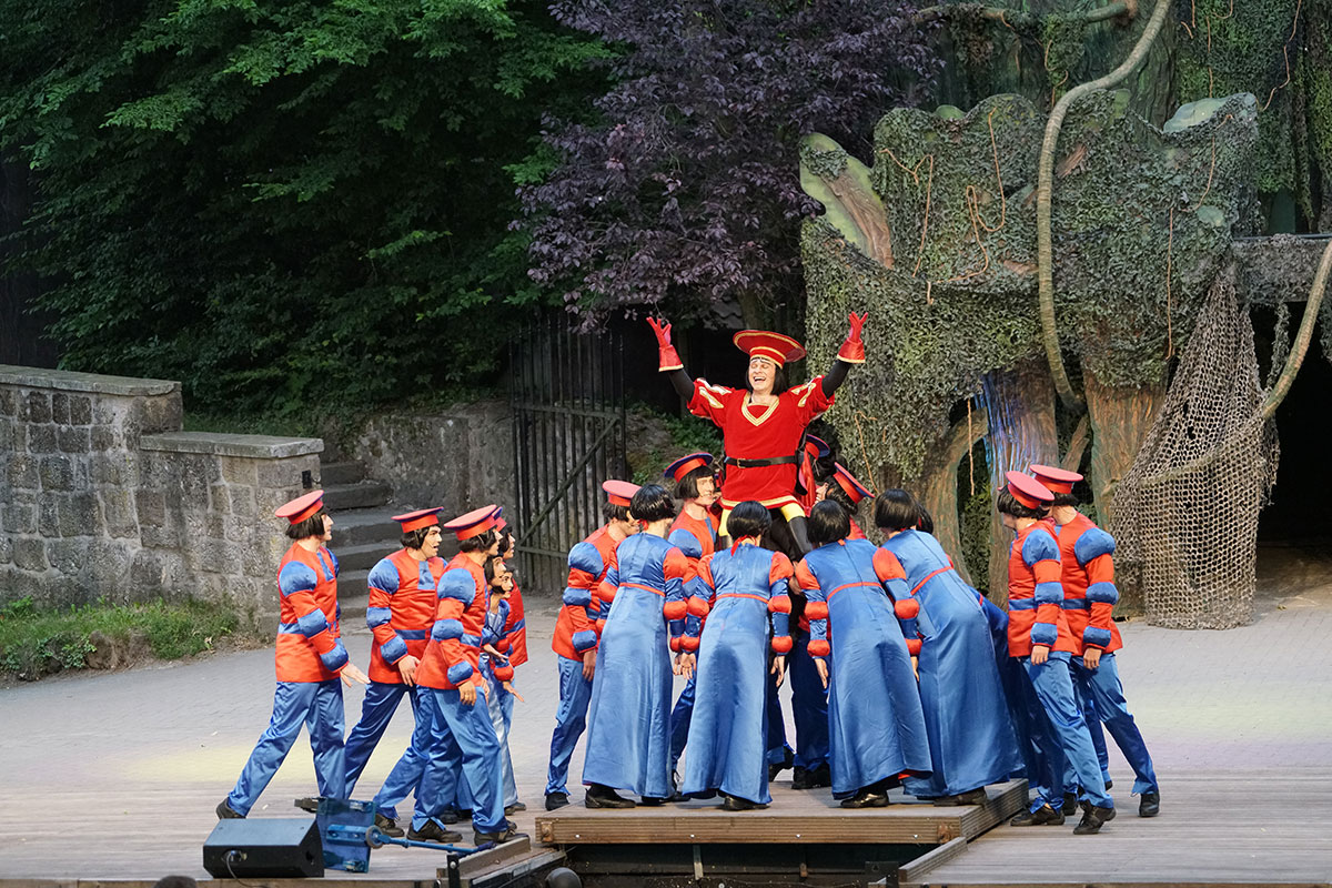 Shrek 2017 – Bild 26