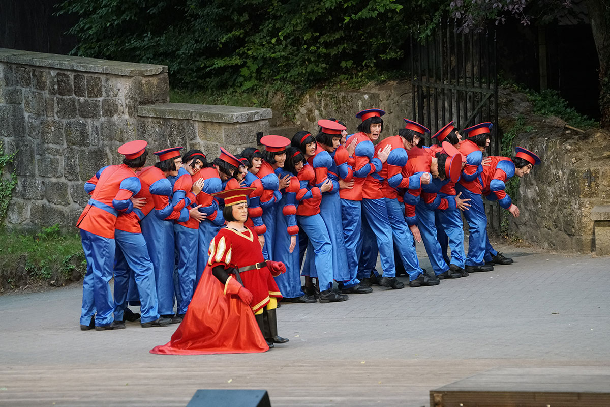 Shrek 2017 – Bild 28