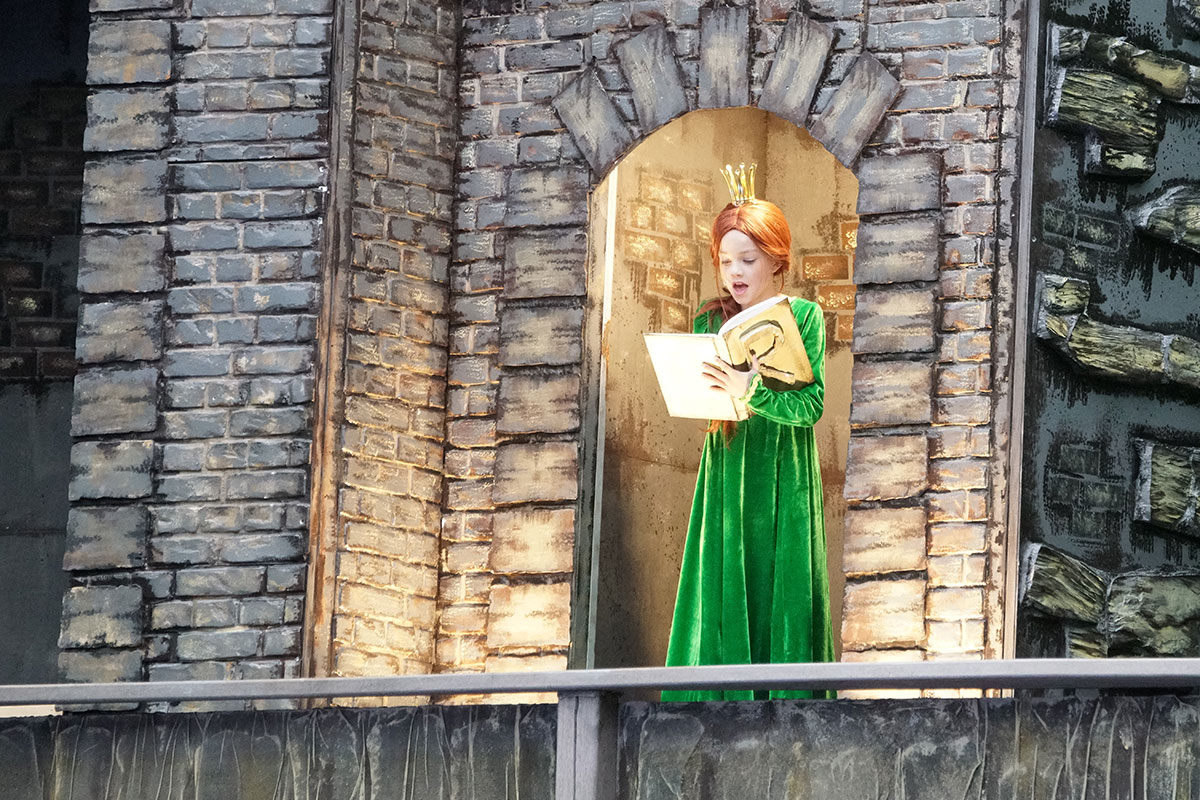 Shrek 2017 – Bild 31