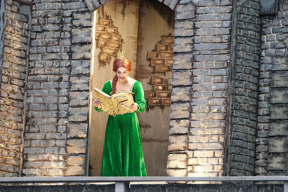 Shrek 2017 – Bild 32