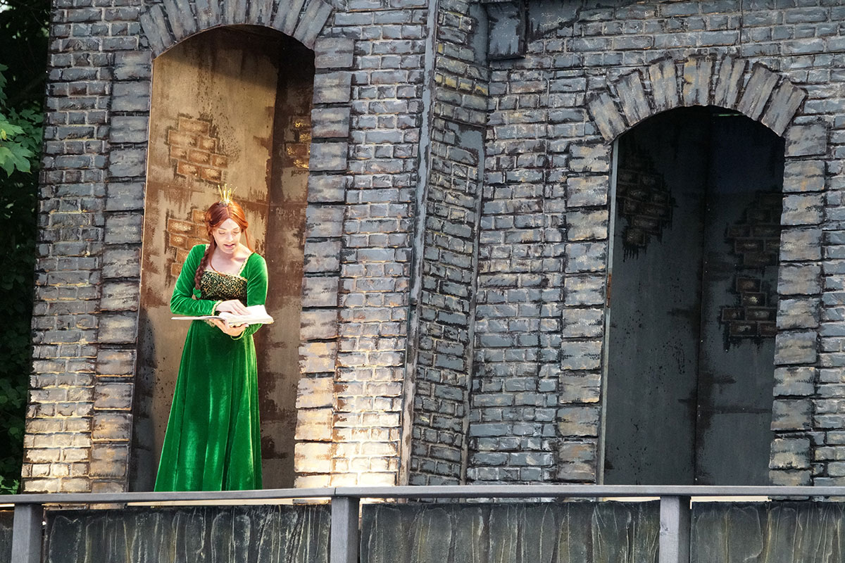 Shrek 2017 – Bild 33