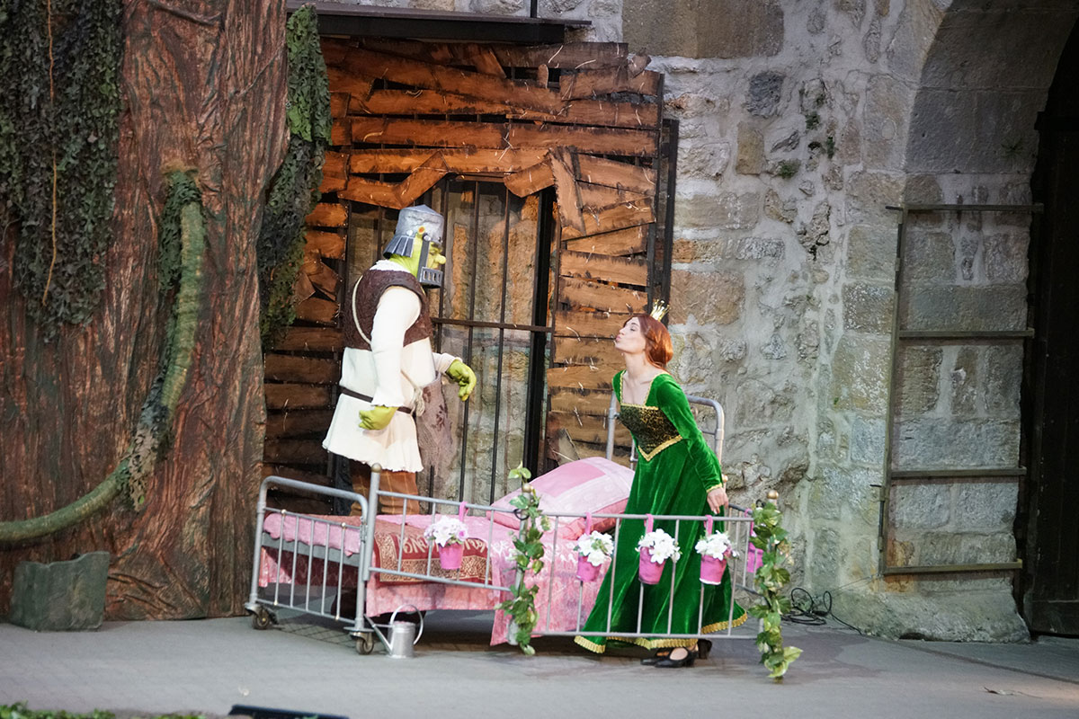 Shrek 2017 – Bild 47