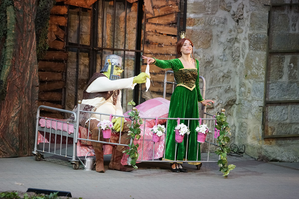 Shrek 2017 – Bild 48