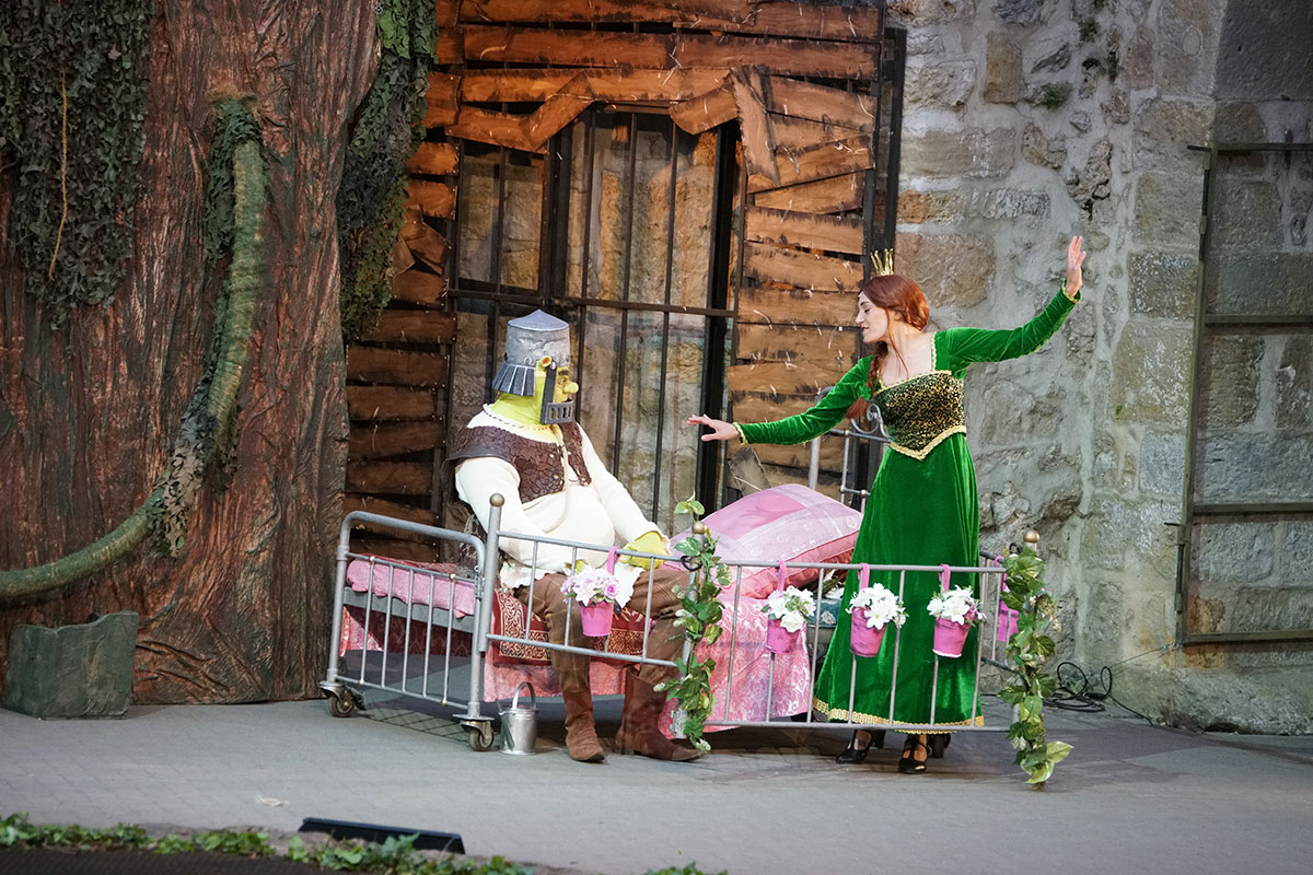 Shrek 2017 – Bild 49