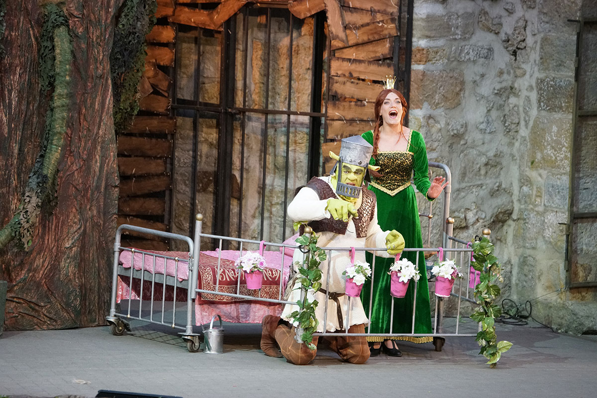 Shrek 2017 – Bild 50