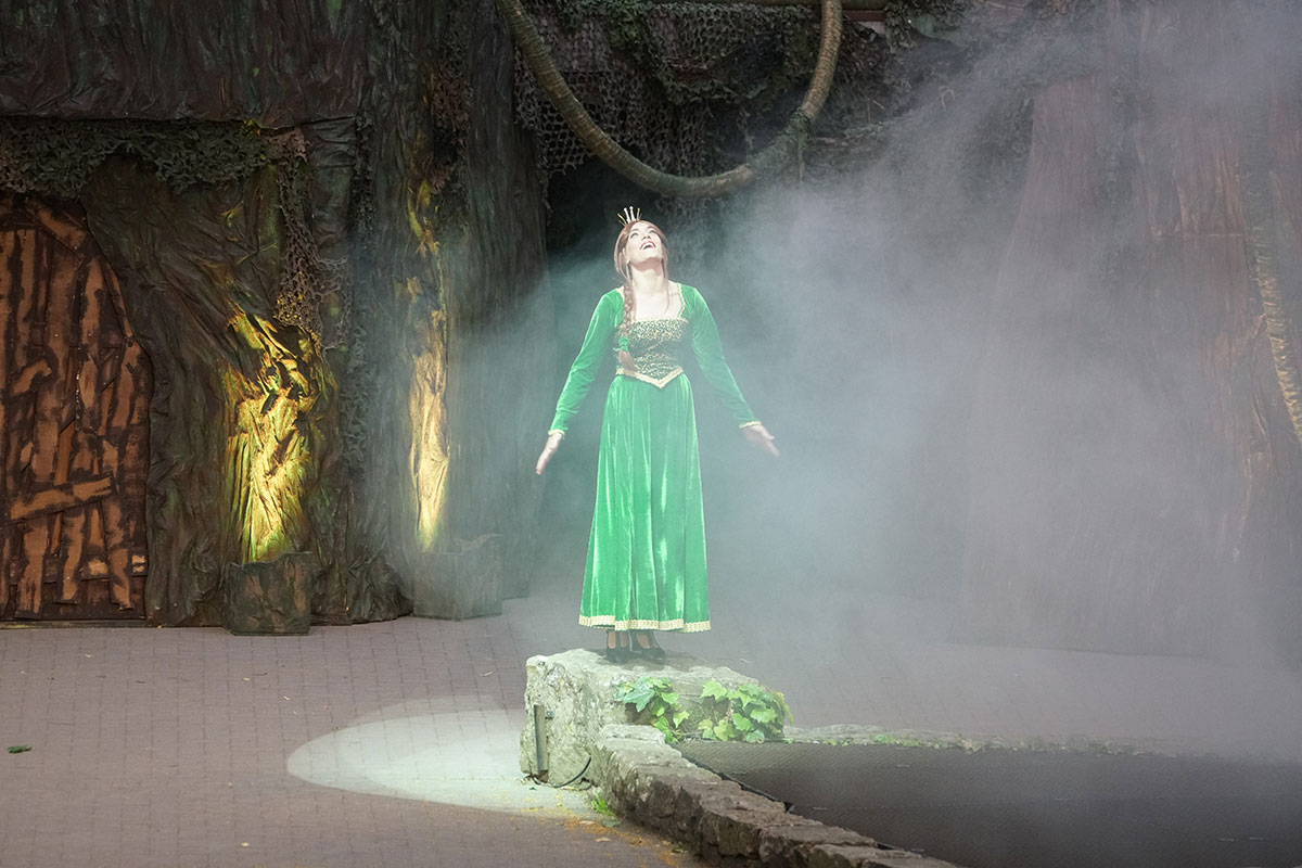 Shrek 2017 – Bild 53