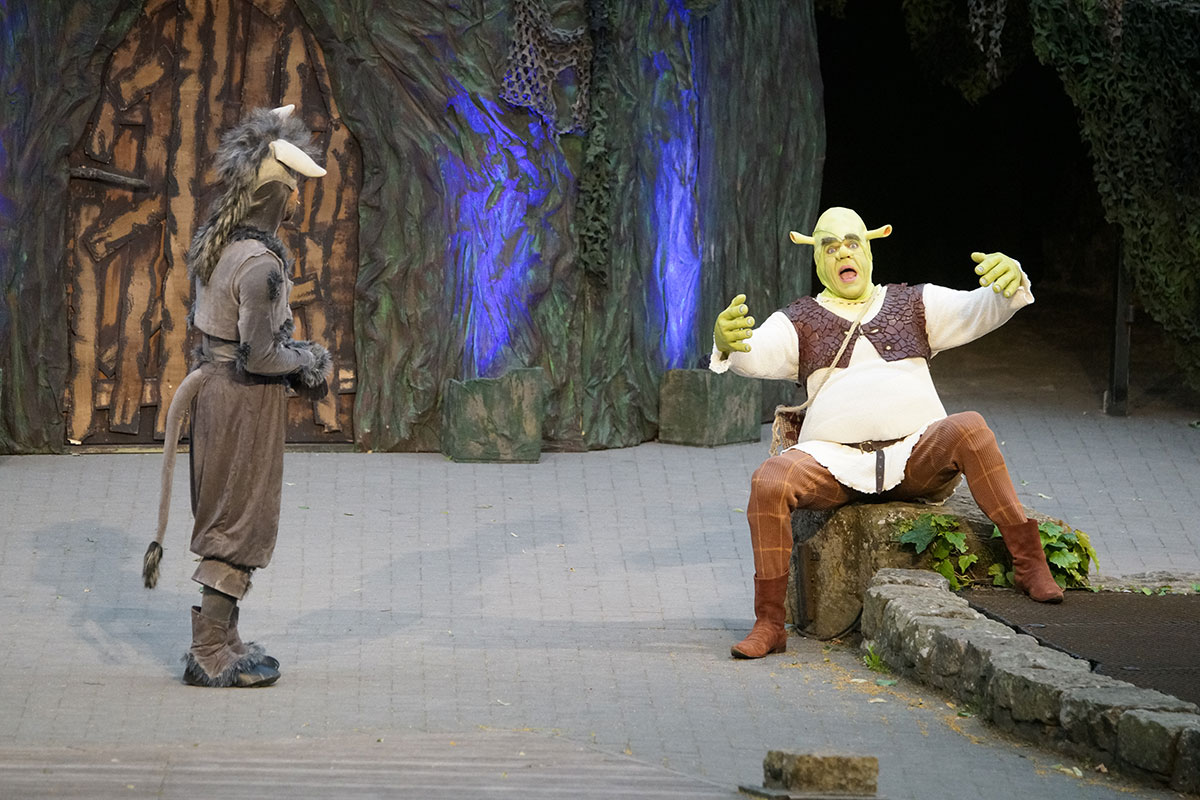Shrek 2017 – Bild 55