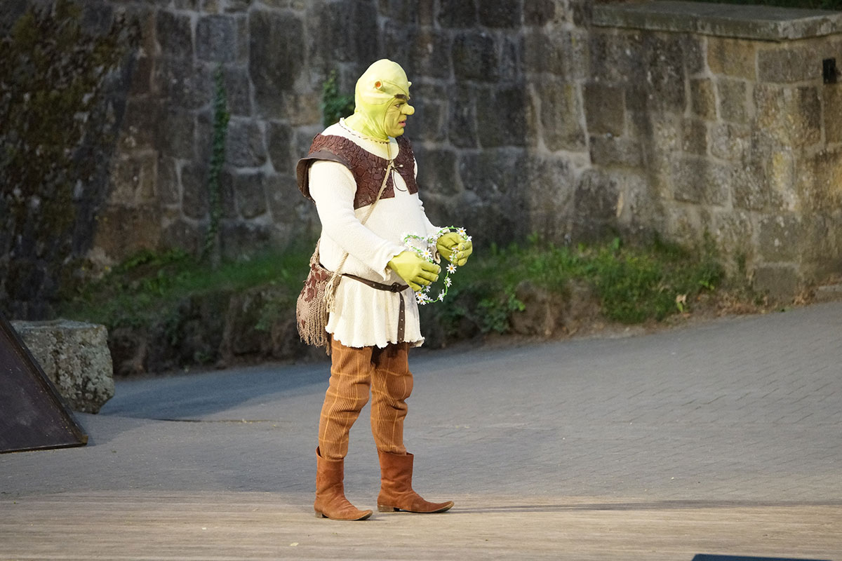 Shrek 2017 – Bild 63