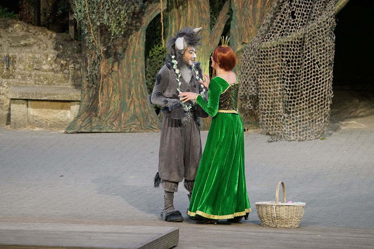 Shrek 2017 – Bild 64