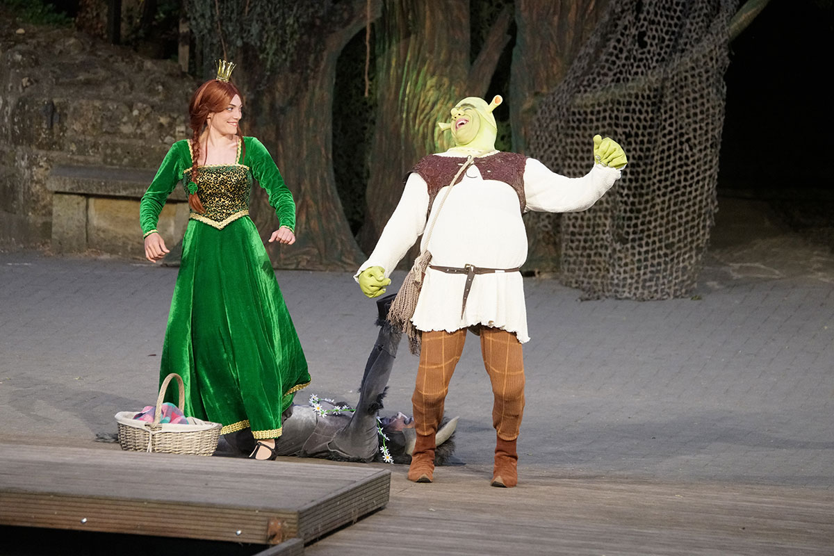 Shrek 2017 – Bild 67