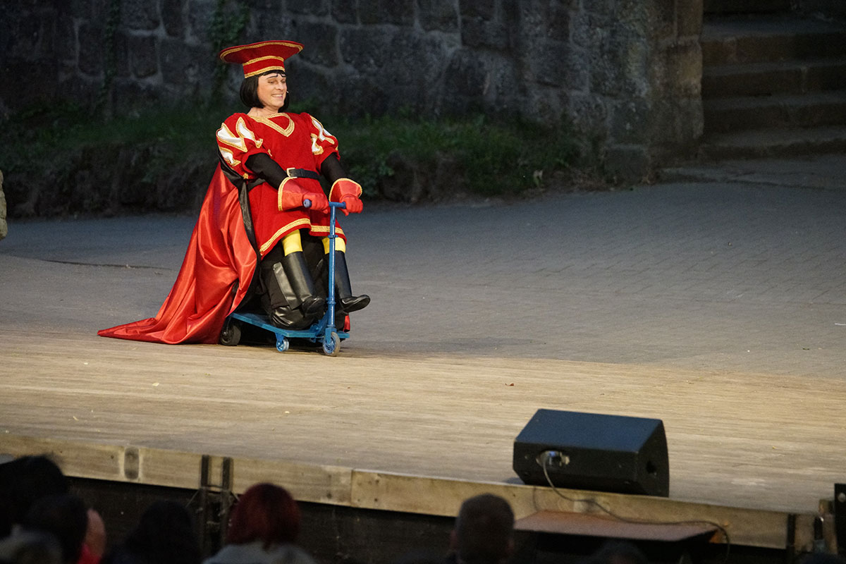 Shrek 2017 – Bild 69