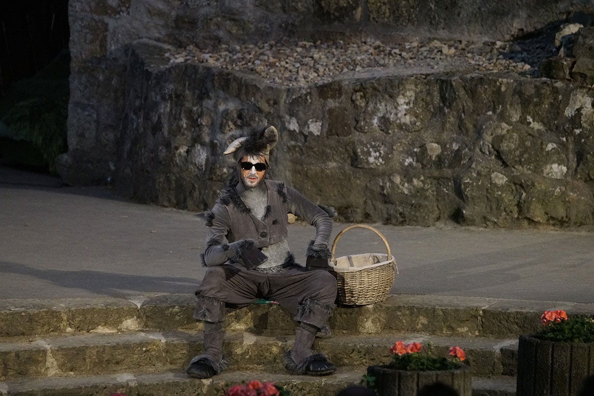 Shrek 2017 – Bild 77