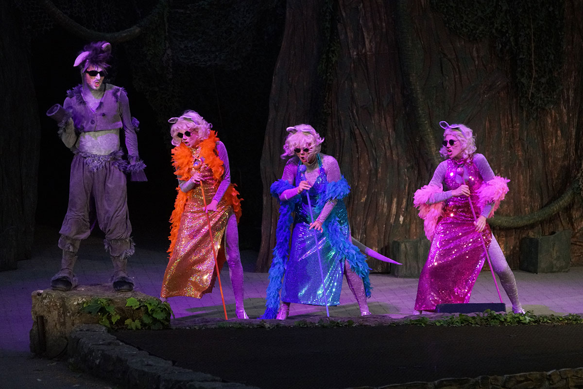 Shrek 2017 – Bild 78