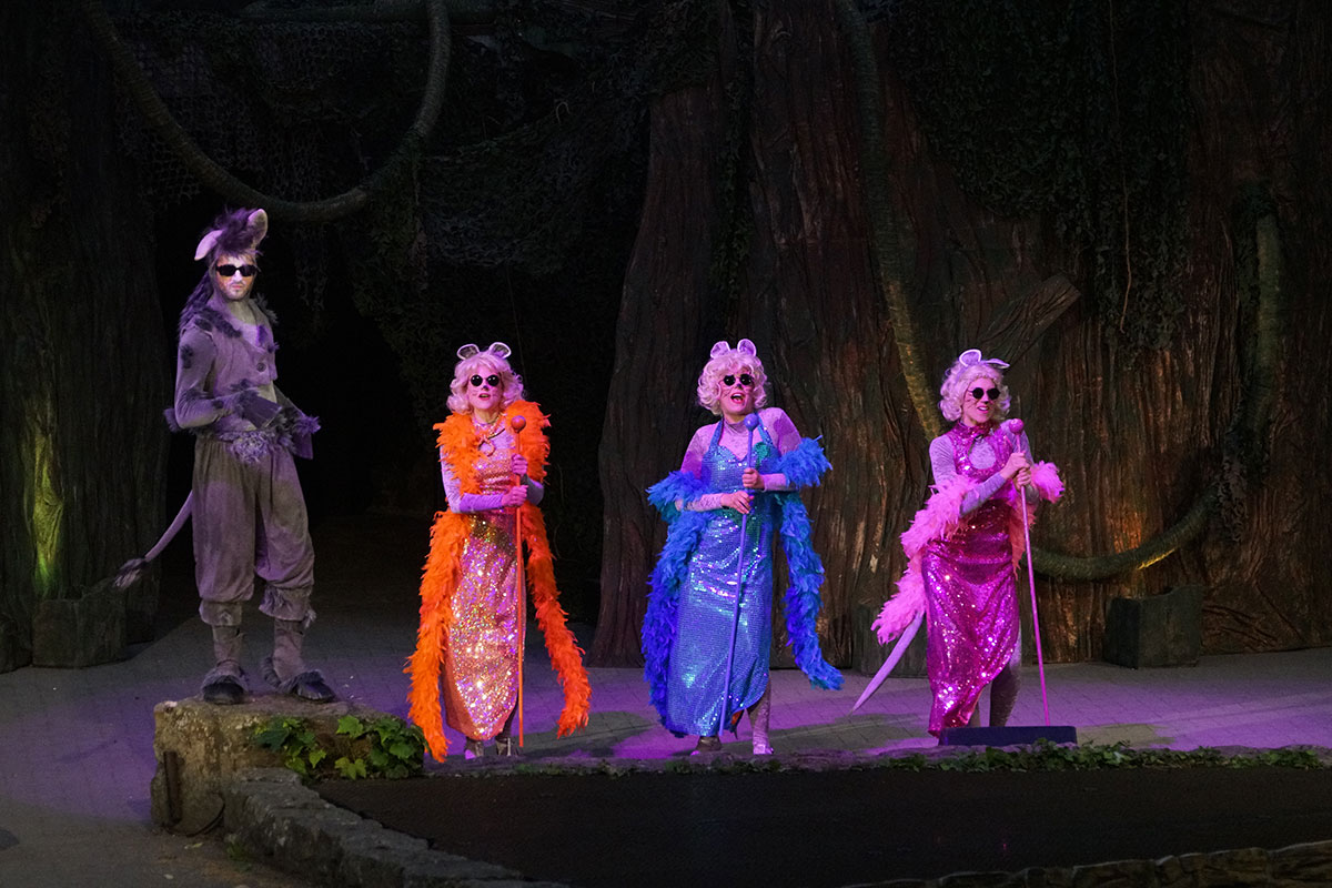 Shrek 2017 – Bild 79