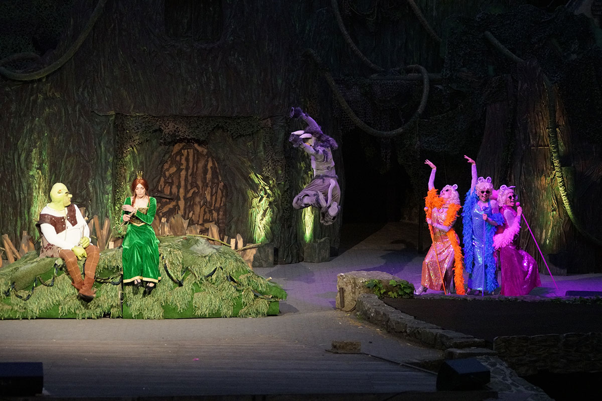 Shrek 2017 – Bild 80