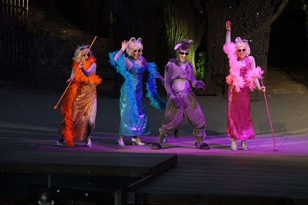 Shrek 2017 – Bild 83