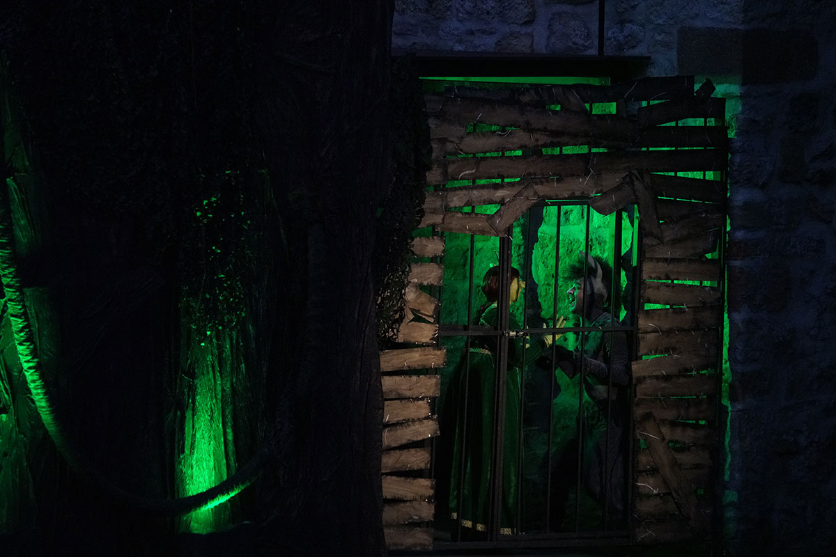 Shrek 2017 – Bild 85