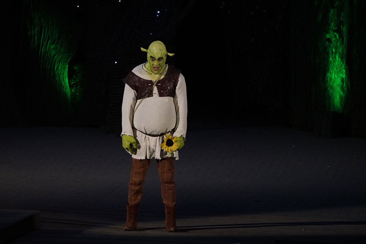 Shrek 2017 – Bild 86