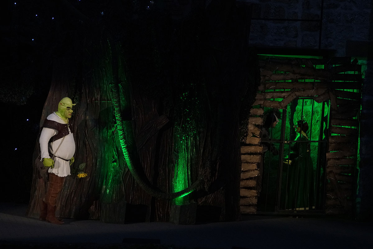 Shrek 2017 – Bild 87