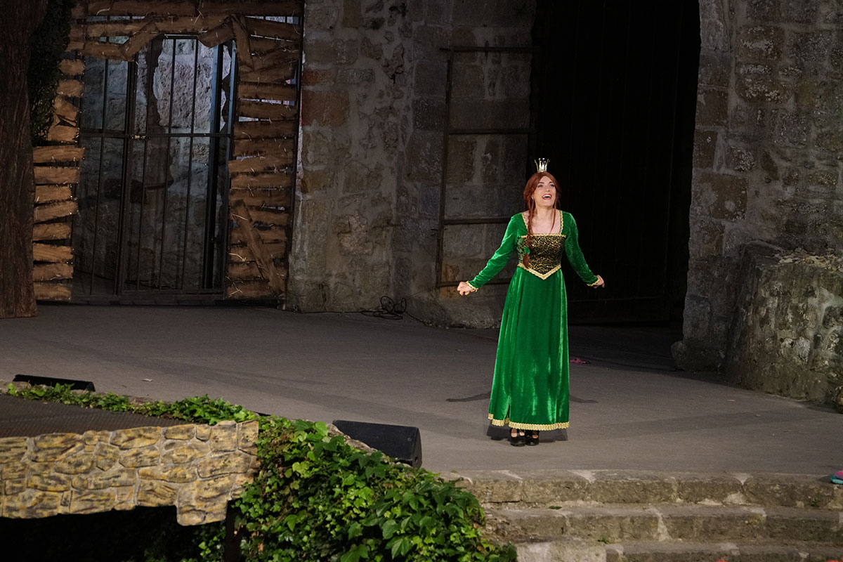 Shrek 2017 – Bild 88