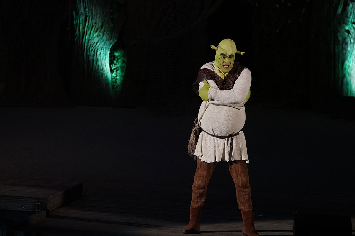 Shrek 2017 – Bild 92