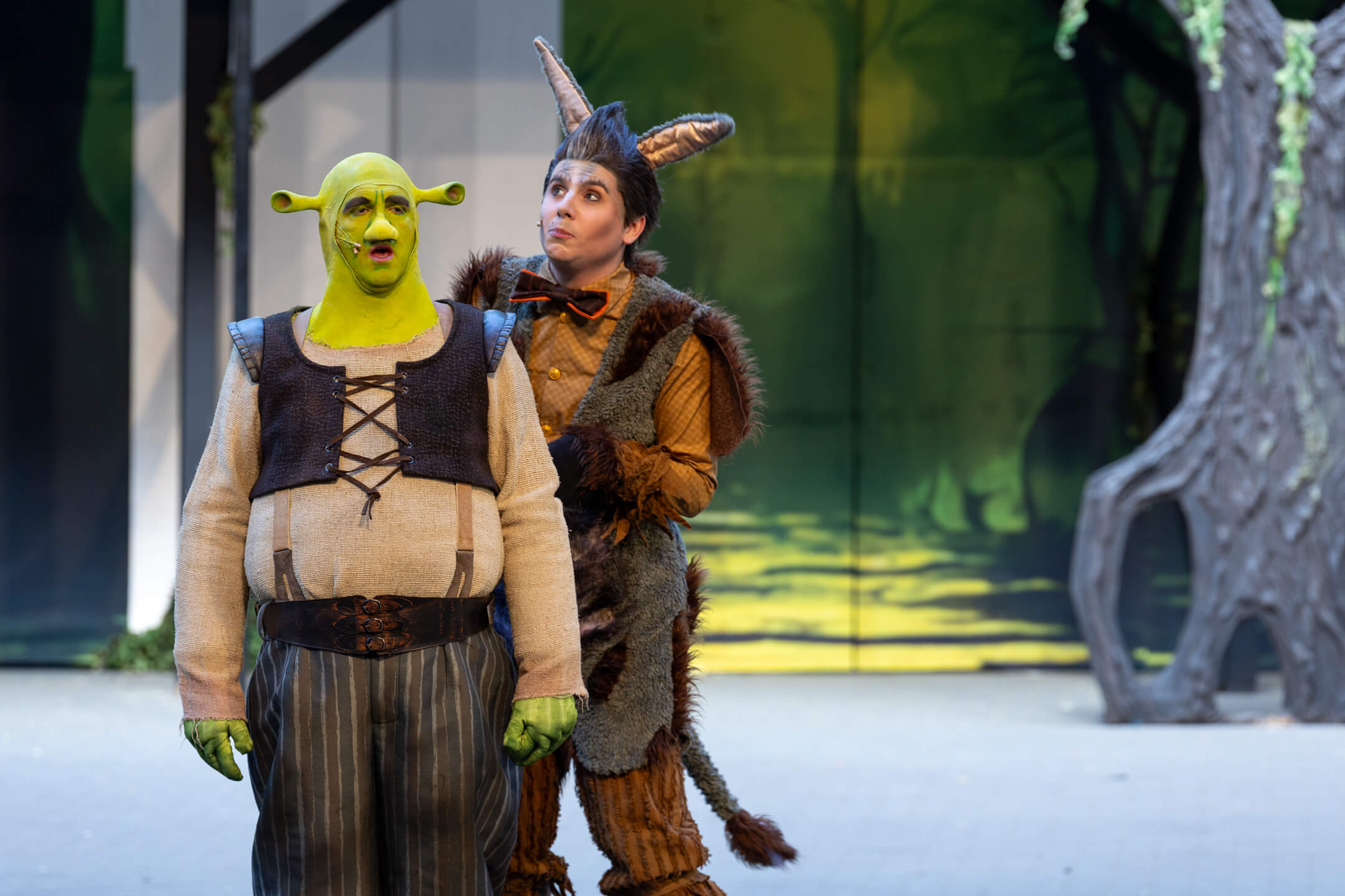 Shrek 2025 – Bild 8