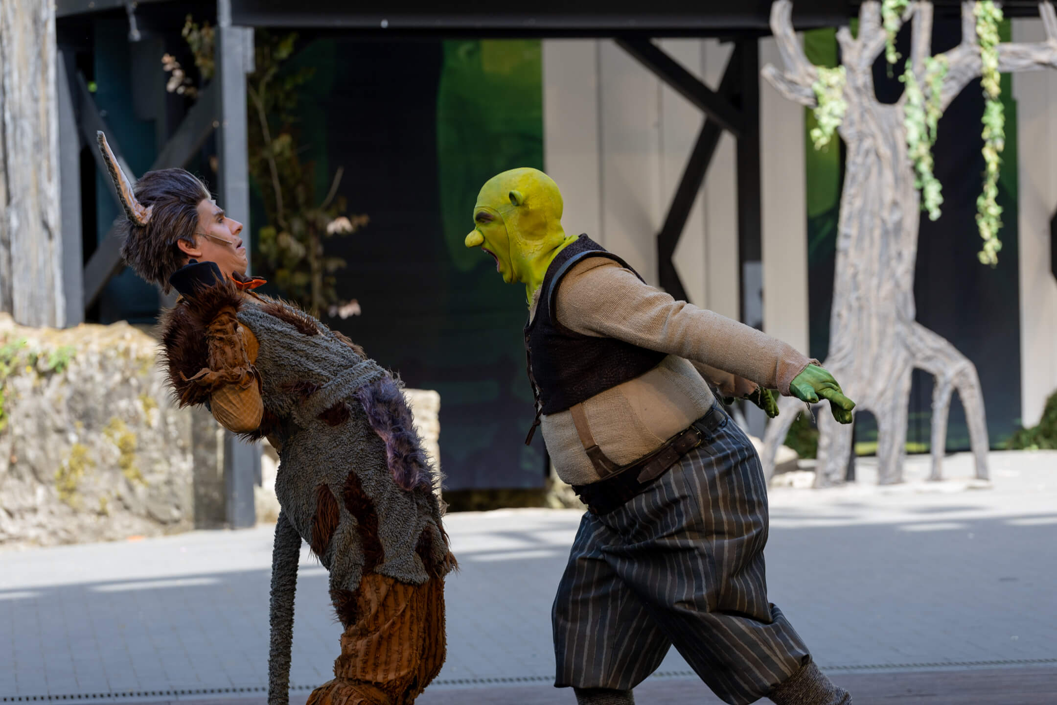 Shrek 2025 – Bild 9