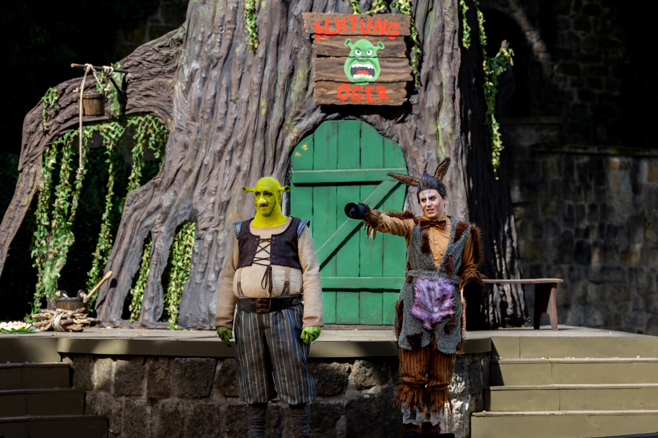 Shrek 2025 – Bild 19