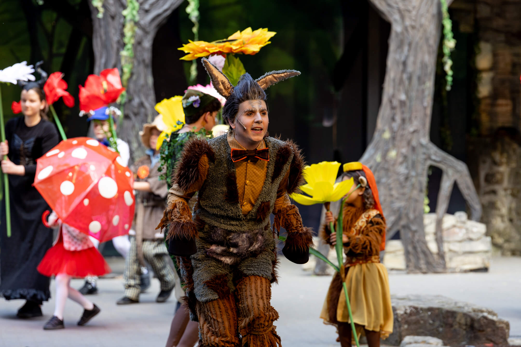 Shrek 2025 – Bild 22