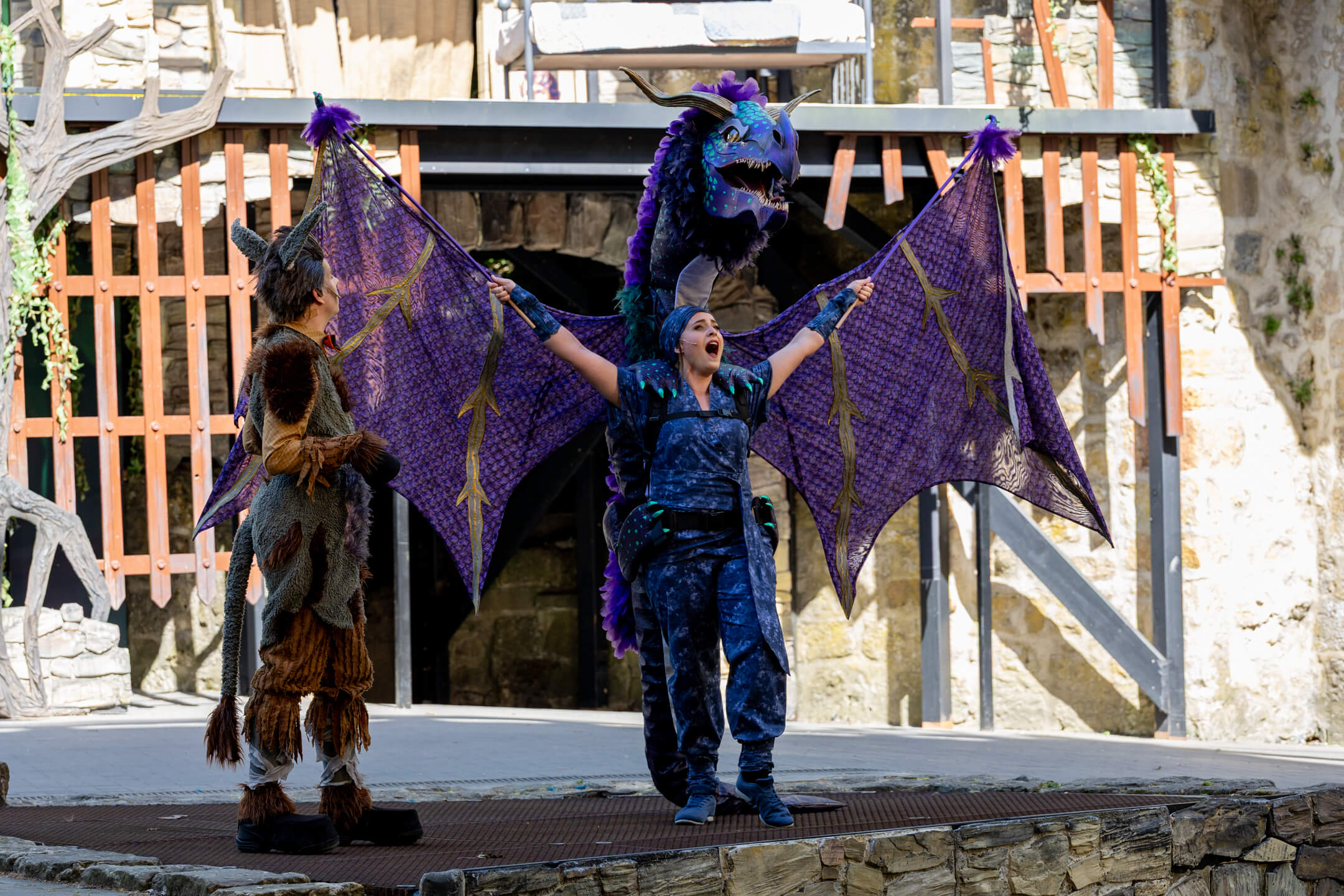 Shrek 2025 – Bild 31