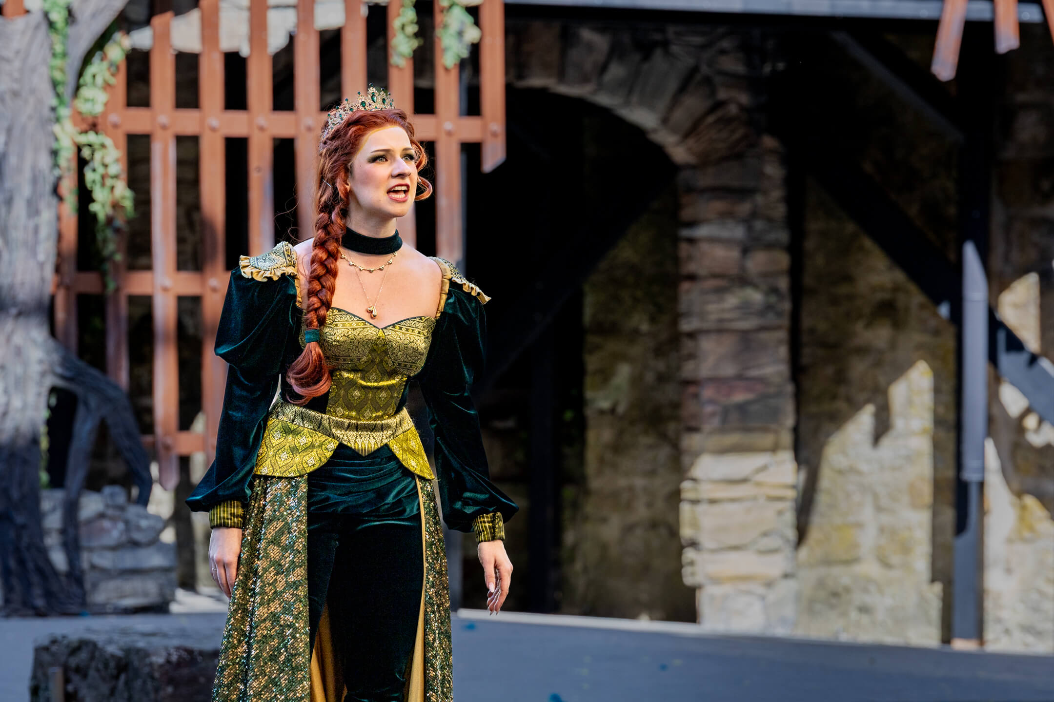 Shrek 2025 – Bild 35