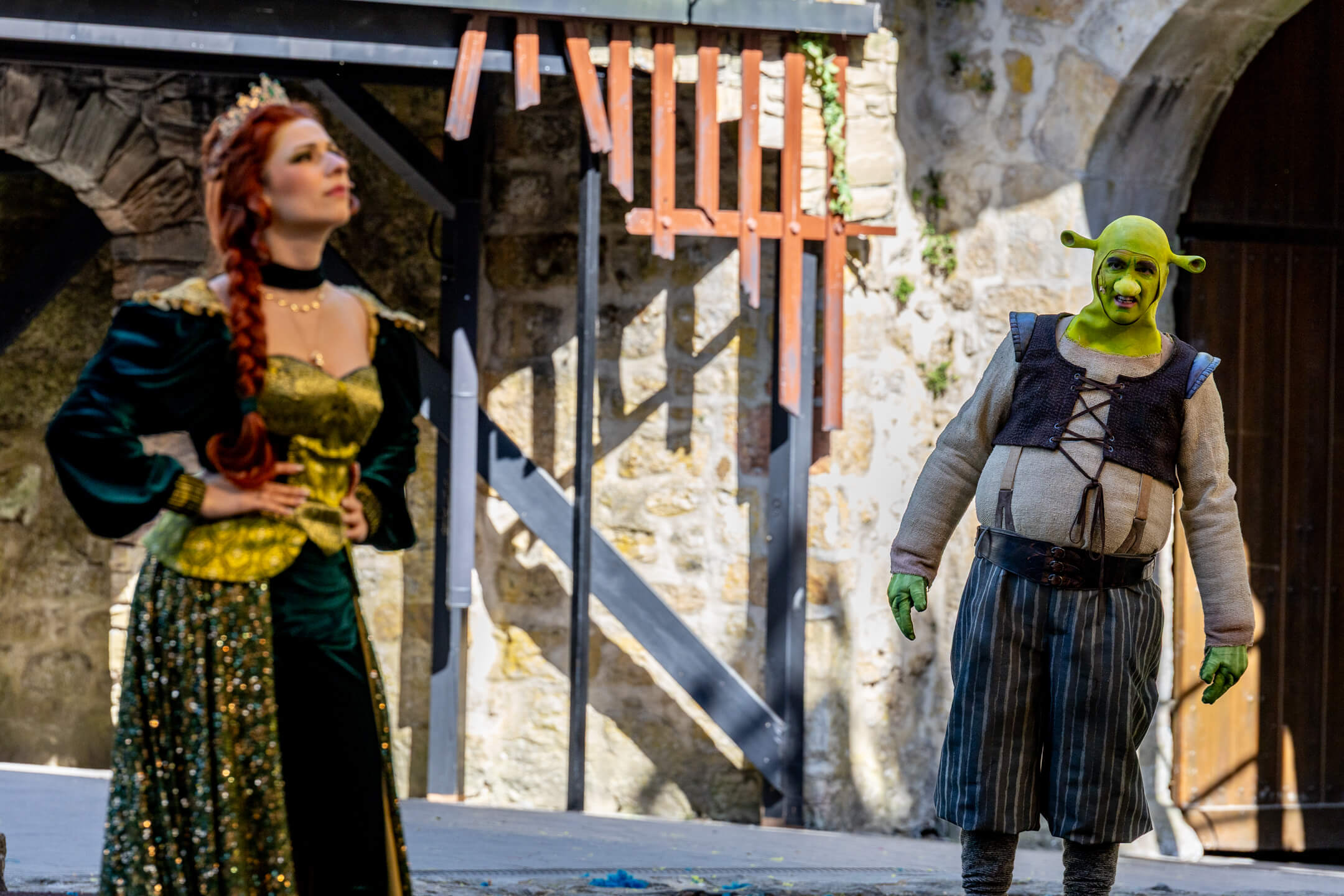 Shrek 2025 – Bild 37