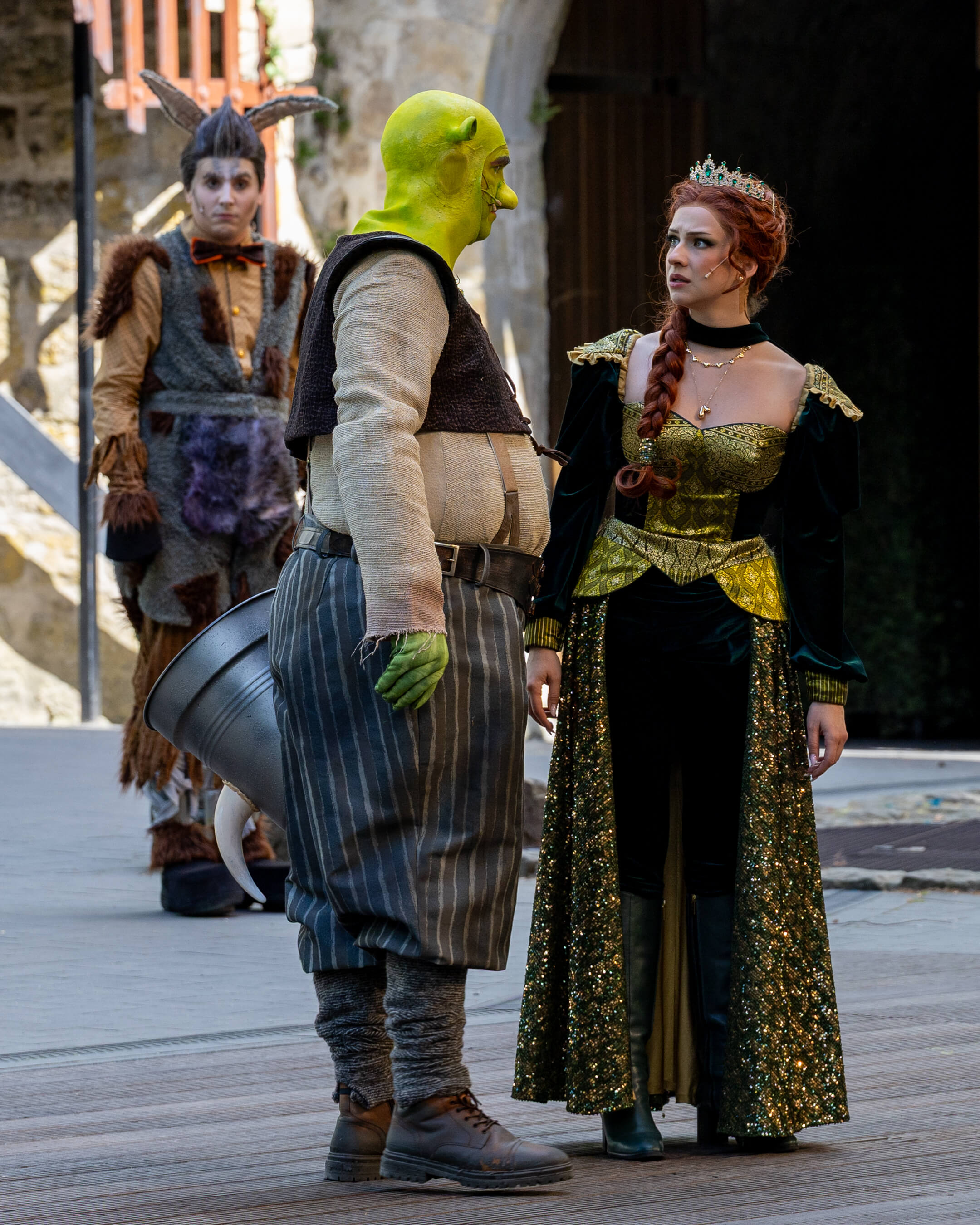 Shrek 2025 – Bild 39