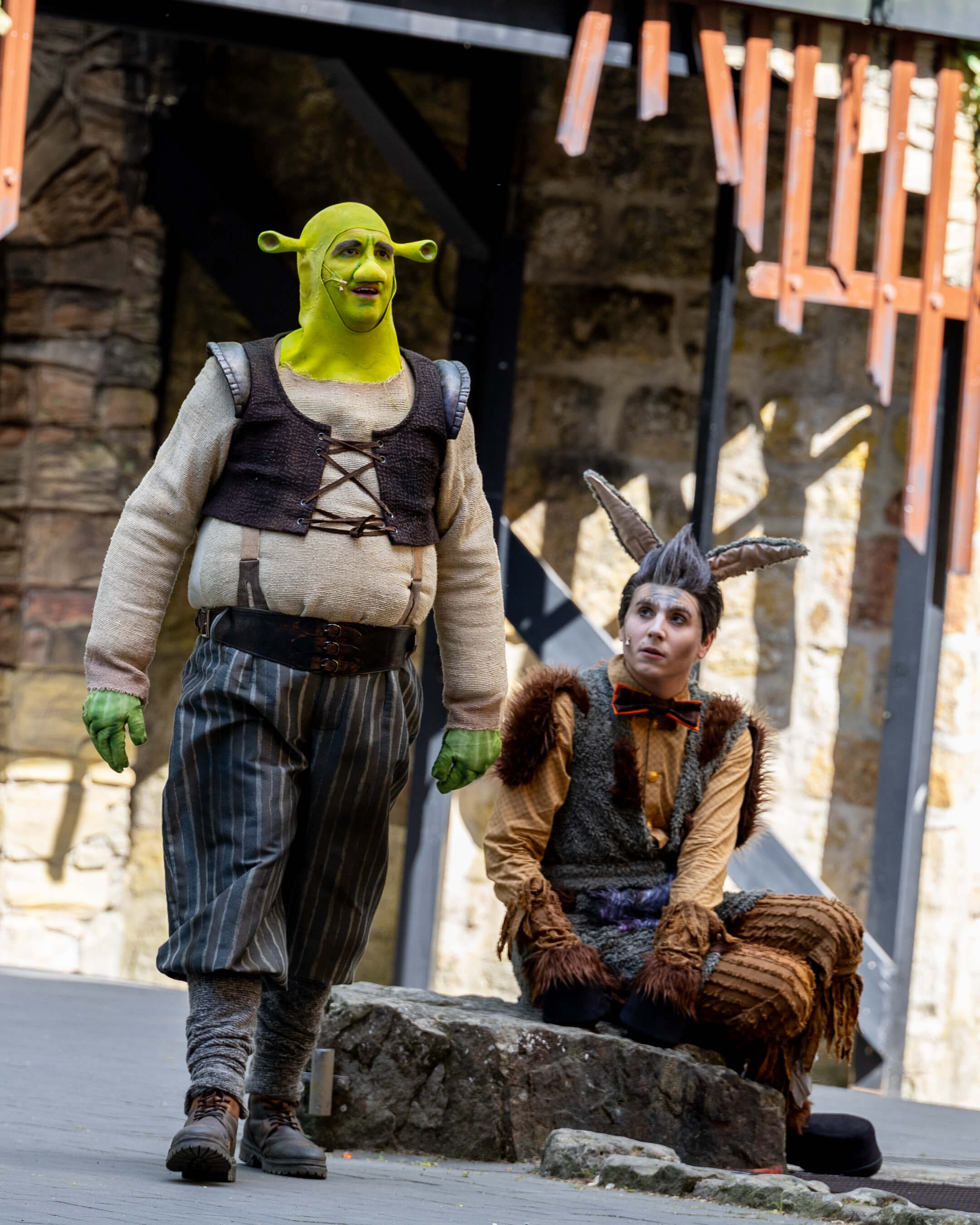 Shrek 2025 – Bild 42