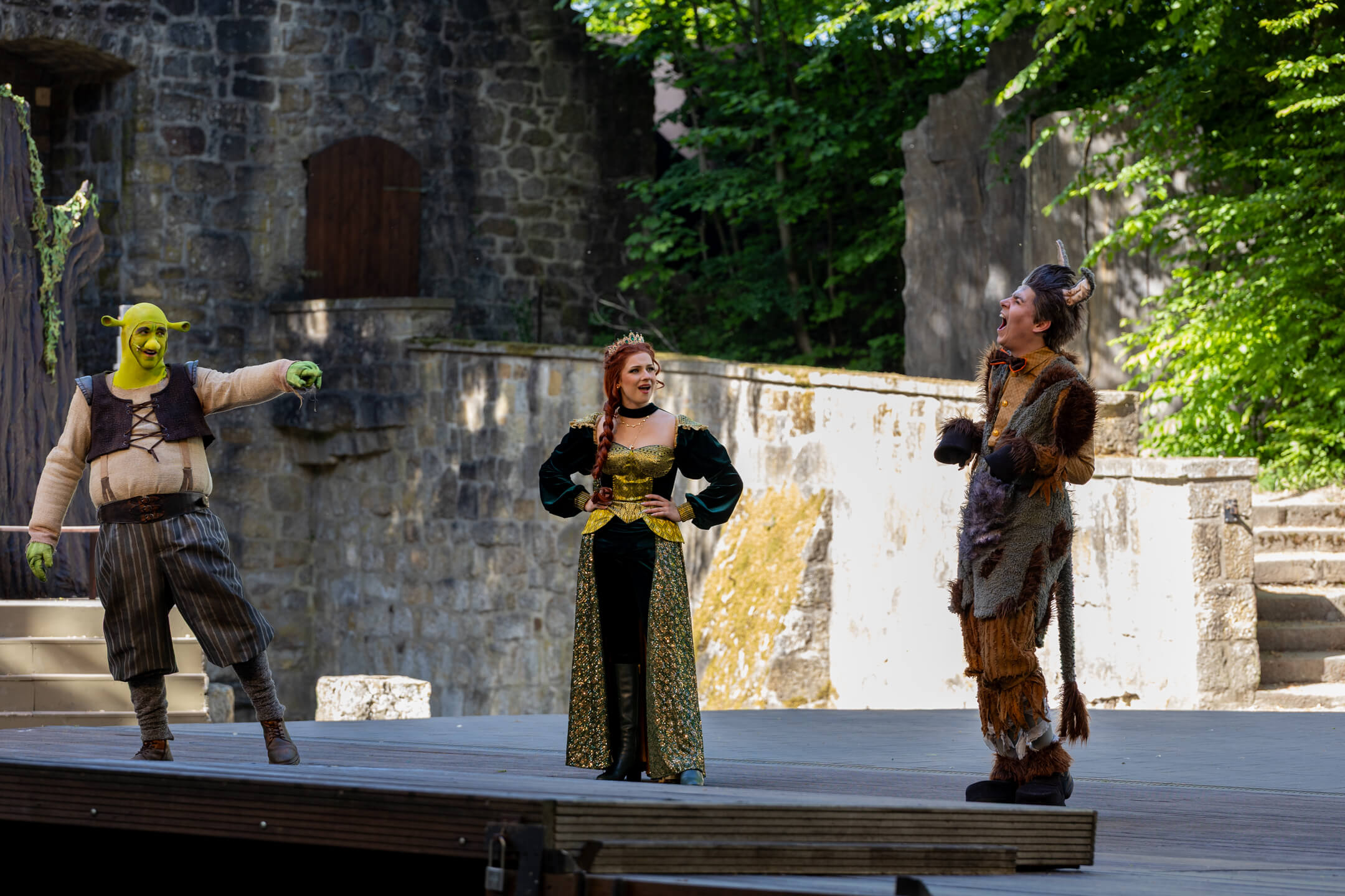 Shrek 2025 – Bild 43