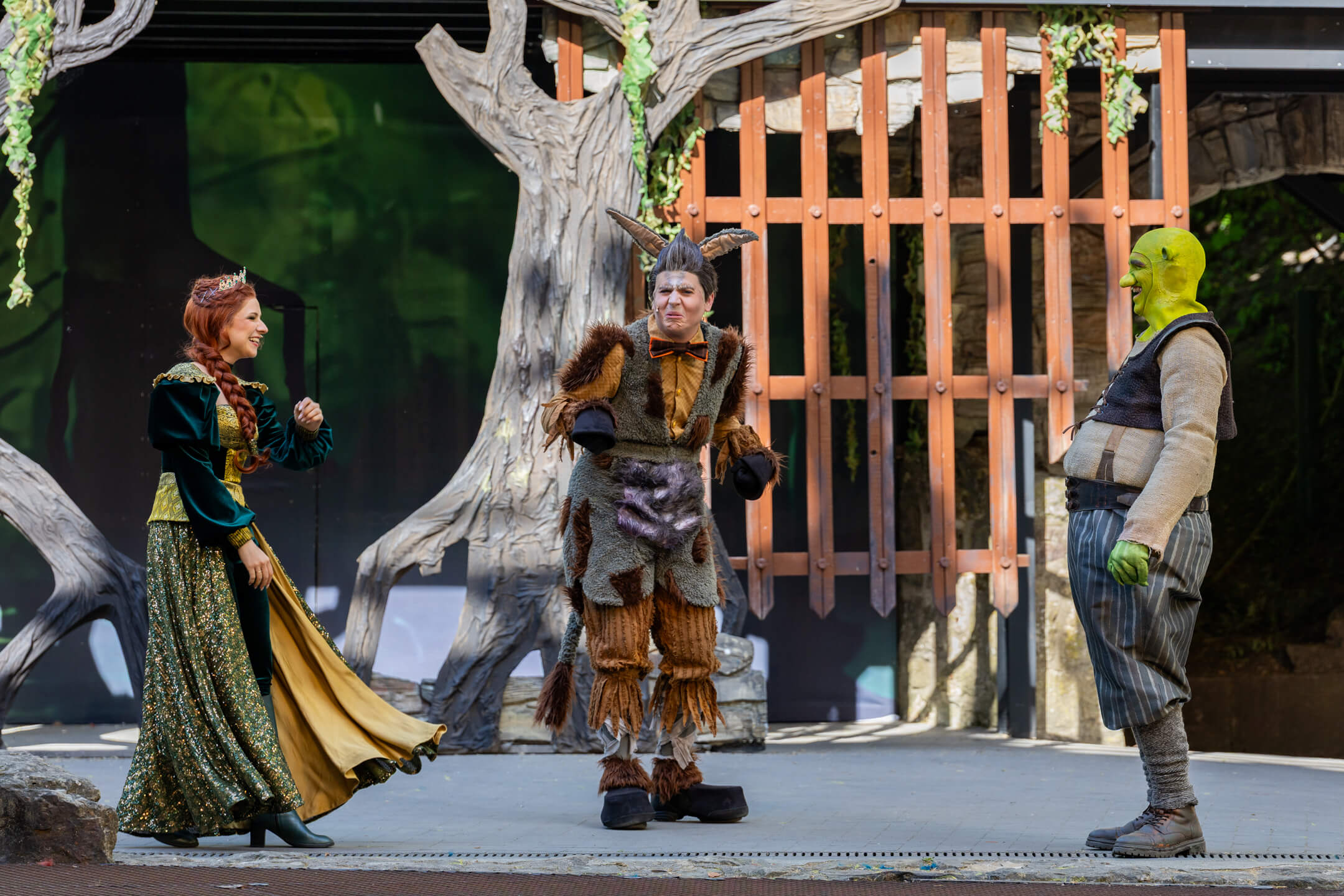 Shrek 2025 – Bild 44