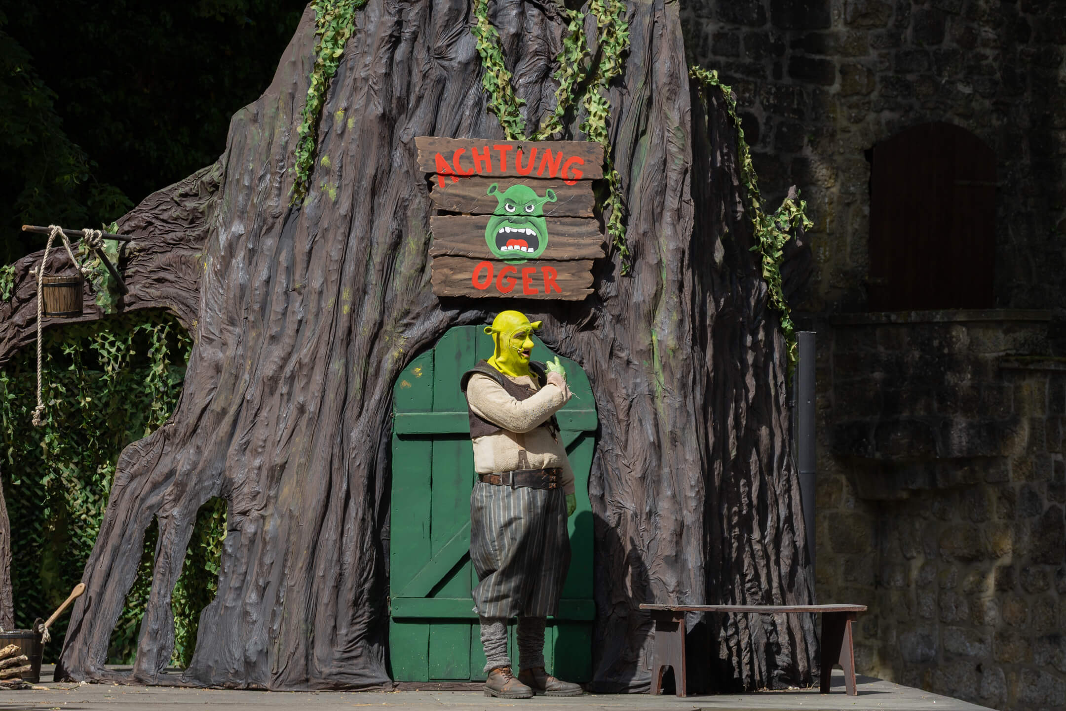 Shrek 2025 – Bild 3