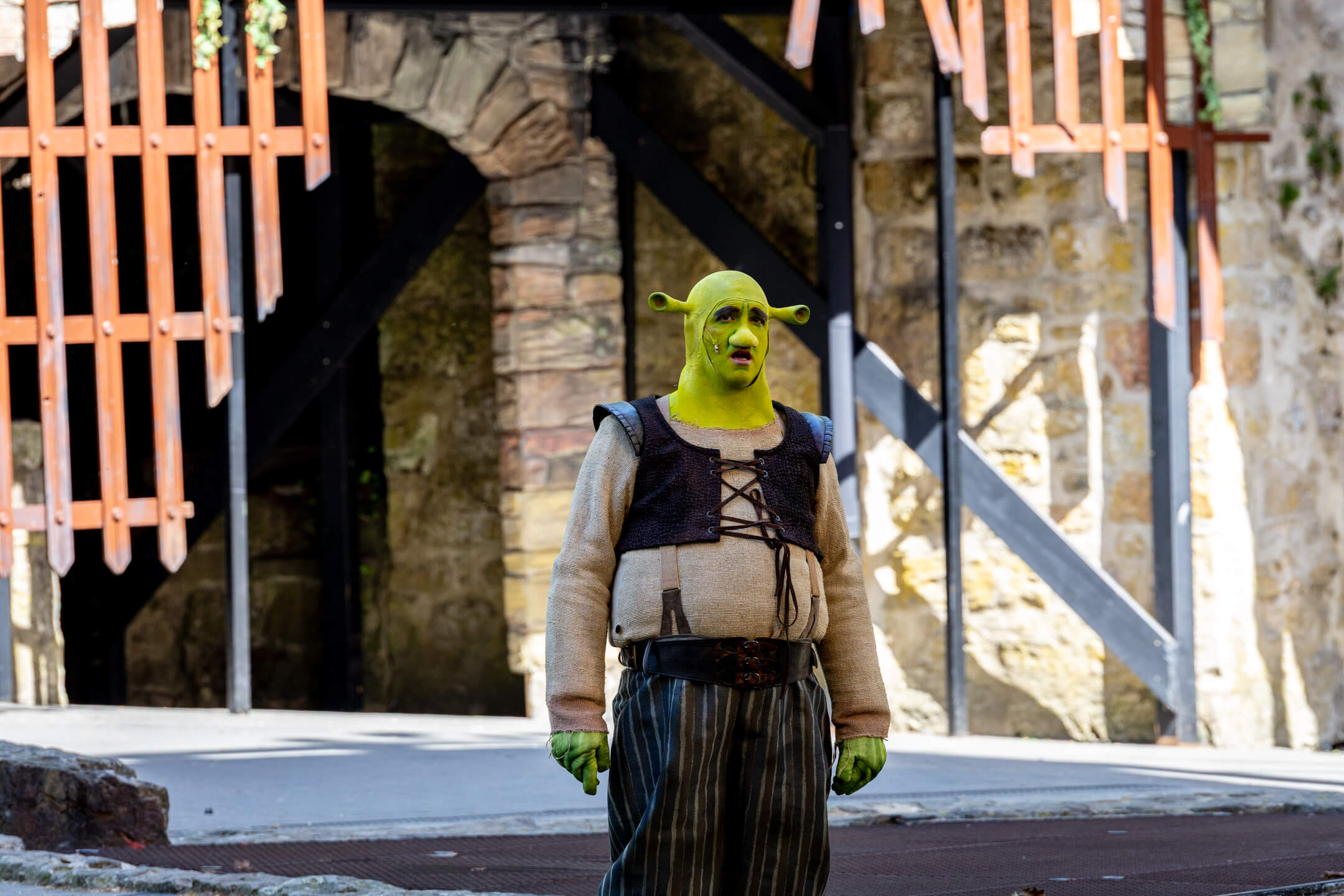 Shrek 2025 – Bild 7